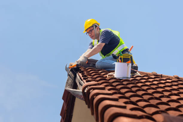 Professional Roofing in Clinton, AR